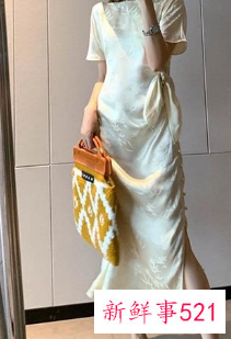 中老年蚕丝连衣裙