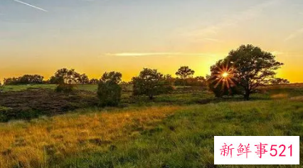 梦见光亮有什么征兆