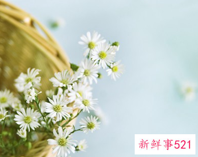 哪些星座会慢慢的看淡爱情