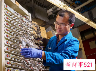 能耐极端温度的锂离子电池问世