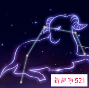 容易有初恋后遗症的星座