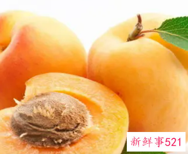 孕妇梦见摘杏吃是什么意思