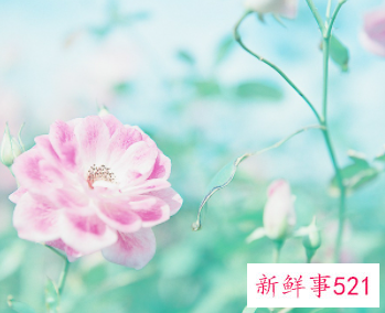 16个心理学技巧