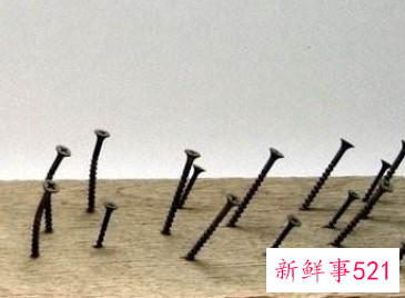 梦见一个钉子