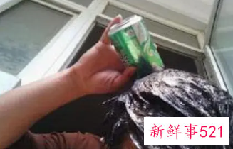 梦见洗头及搬家的周公解梦