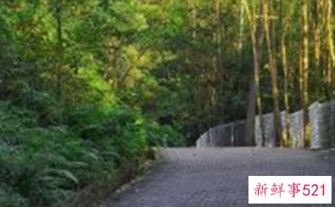 爬山的好处有什么