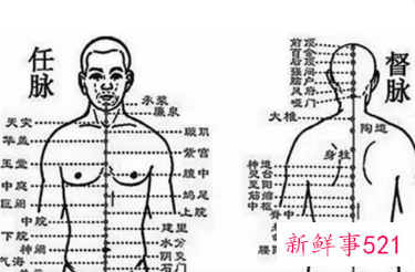 人体十二经络运行的时间规律功能