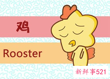 木命属鸡的做什么生意最旺