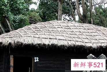 梦见茅房草屋有什么征兆