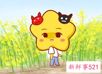 十二星座的运气分别排第几名