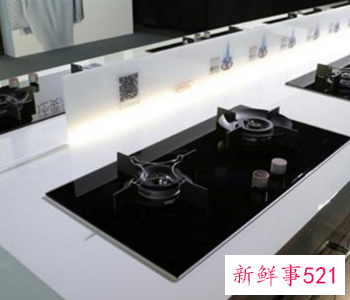 燃气灶十大公认品牌排行榜