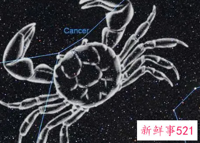 最懂爱的星座排行