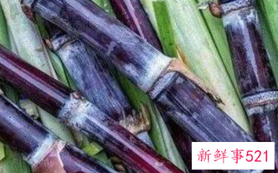 减肥期间可以吃甘蔗吗