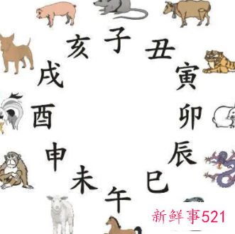 哪个属相五行属水