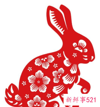 99年兔和00年龙相配吗