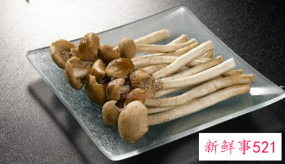 宝宝能吃茶树菇吗