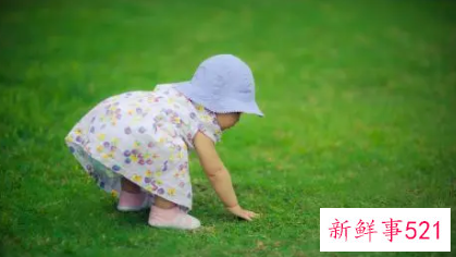 9个月宝宝喂养指南