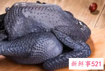 吃什么食物补气养血最好