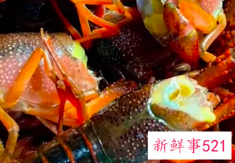 十三香小龙虾做法大全