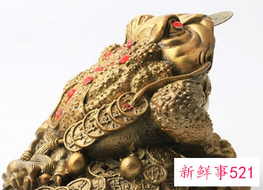 居家金蟾摆放位置