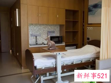 西安华都妇产医院