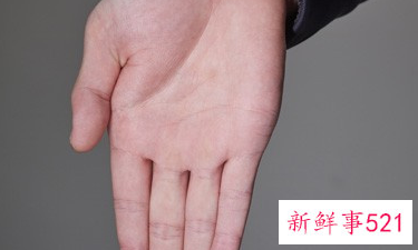 气血不足的根源在哪里