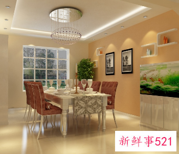 燃气灶十大公认品牌排行榜