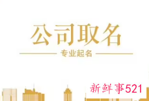 比较有创意的公司名字大全