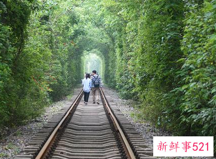 男女之间真正的感情是什么样