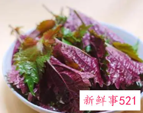 女人喝紫苏叶泡水有好处吗