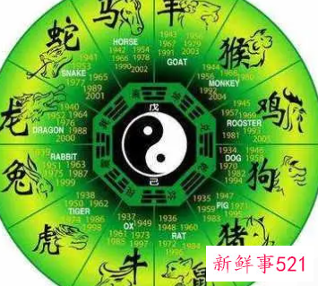 哪个属相五行属水