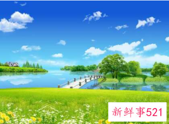 梦见麦子长势不好是什么意思