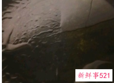 素丝瓜汤简单的做法