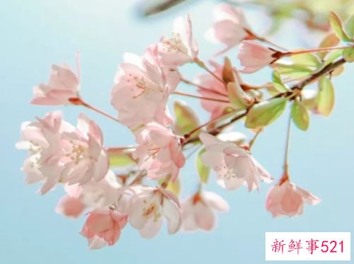 女人对男人有意时会有哪些表现