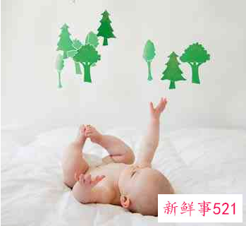 如何培养BB成长五大能力