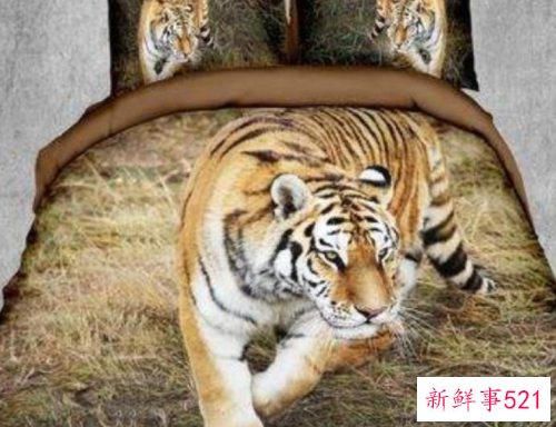 被子忌讳哪种图案