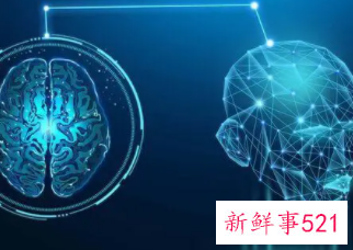 九大不良习惯使大脑迟钝