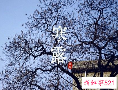 白露和寒露是一个节气吗