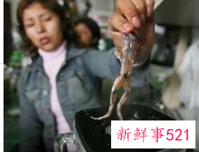 世界上最不营养的东西