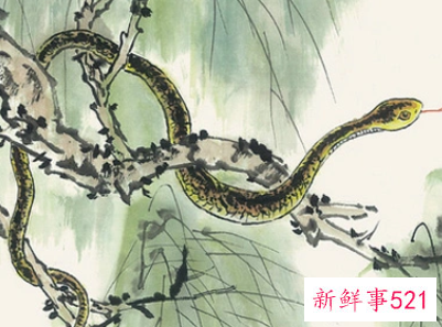 梦见蛇在衣服里是什么意思