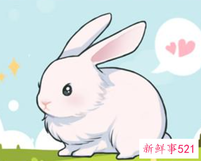 99年兔和00年龙相配吗