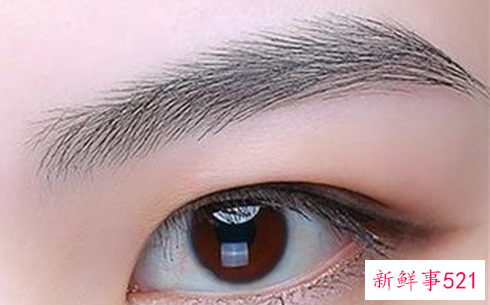 左眼眉毛画法