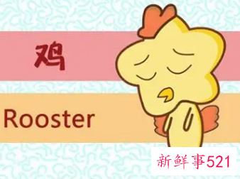 属鸡最会装什么