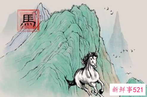 属马的禁忌颜色