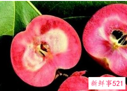 41种不常见的水果(图)