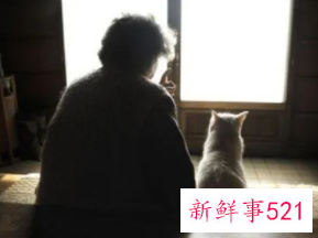 梦见和死去的奶奶一起睡觉