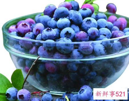 吃蓝莓的禁忌有哪些