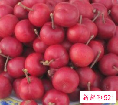 41种不常见的水果(图)