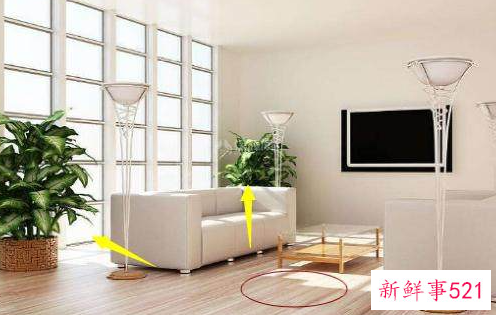 客厅的财位在什么位置图片