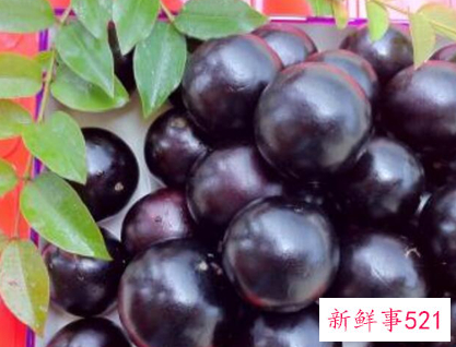 41种不常见的水果(图)